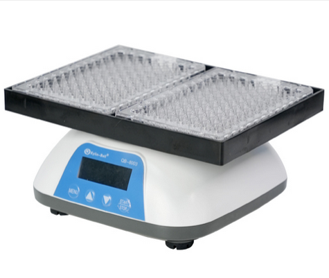 1756689883281380.png 403eca65-5e51-431b-bf2d-759456d5d058.png